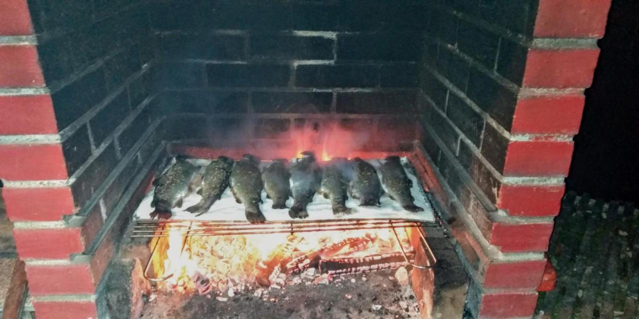 Ozun Albinuta Guesthouse מראה חיצוני תמונה