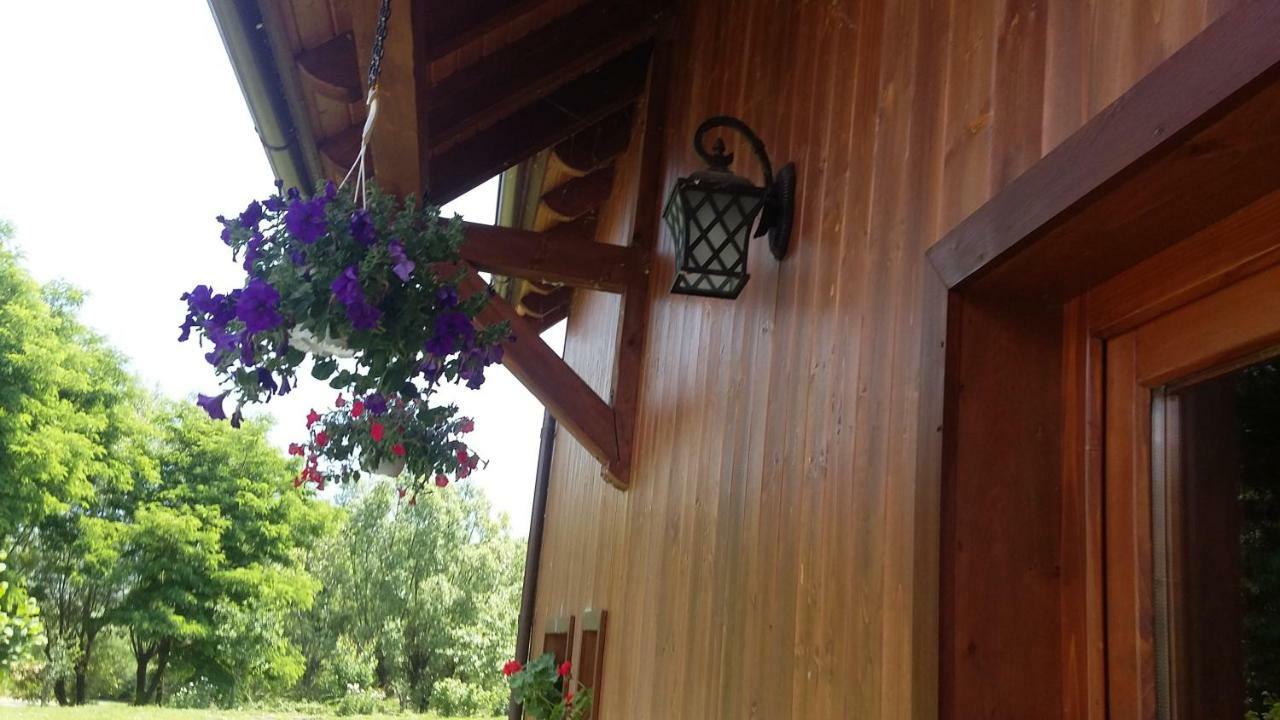 Ozun Albinuta Guesthouse מראה חיצוני תמונה