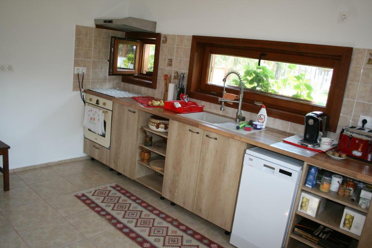 Ozun Albinuta Guesthouse מראה חיצוני תמונה
